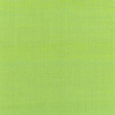 68782-kiwi-full
