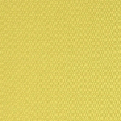 69547-daffodil-full