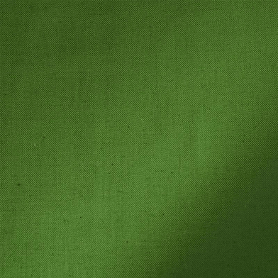 76989-leaf