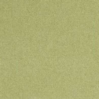 77810-full