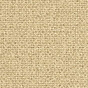 langham-69616-camel-1