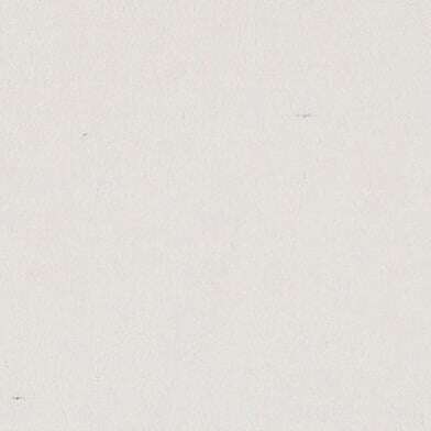 province-duck-2634481-white-full