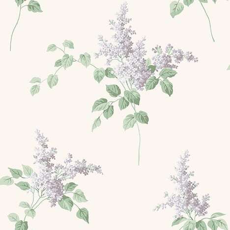 lilacs-lilac-7668